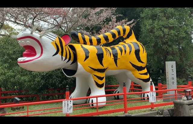 【千手院の動物霊園】【大迫力のトラ】信貴山 朝護孫子寺の大きな虎