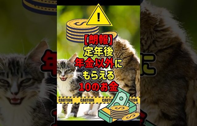 【大損する人の特徴】定年後にもらえるお金10選💰年金以外の収入源とは？退職金・iDeCo・配当金で老後資金を確保 #年金 #老後資金 #定年後　不動産収入　退職金、企業年金、iDeCo、厚生年金基金、養老保険の満期金